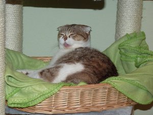 P1030793.JPG P1030793.JPG