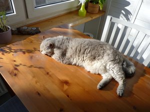 P1080961.JPG P1080961.JPG