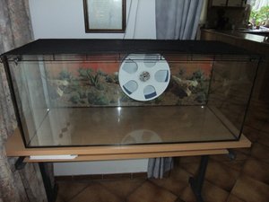 DSCF1433 (640x480).jpg