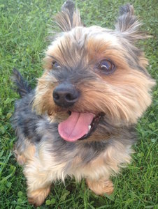 IMG_2500 Kopie.jpg IMG_2500 Kopie.jpg