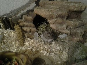 2015-04-01 01.22.05.jpg