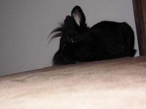 Casio EXILIM  02.April 2015 403.JPG