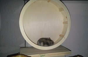 2015-03-30 00.41.58.jpg 2015-03-30 00.41.58.jpg