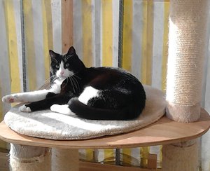 IMG_20150324_141148.JPG IMG_20150324_141148.JPG