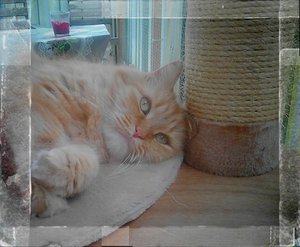 IMG_20150421_152004.JPG IMG_20150421_152004.JPG