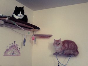 IMG_20150420_060841.JPG IMG_20150420_060841.JPG