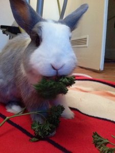 CAM00410.jpg CAM00410.jpg