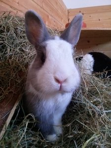 CAM00770.jpg CAM00770.jpg