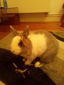 CAM00716.jpg CAM00716.jpg