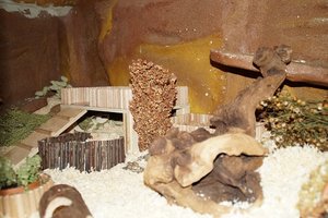 DSC02395.jpg DSC02395.jpg