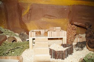 DSC02392.jpg DSC02392.jpg