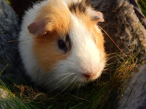 DSCN3057.JPG DSCN3057.JPG