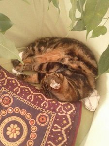 uploadfromtaptalk1431847159897.jpg uploadfromtaptalk1431847159897.jpg