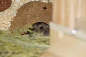 DSC02245.jpg DSC02245.jpg