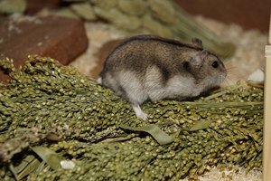 DSC02252.jpg DSC02252.jpg