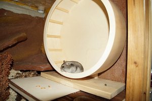 DSC02312.jpg DSC02312.jpg