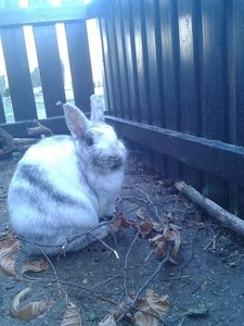 2015-02-14 15.38.31.jpg