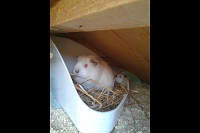 SC20150503-160751.png SC20150503-160751.png