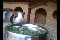 SC20150503-160707.png SC20150503-160707.png