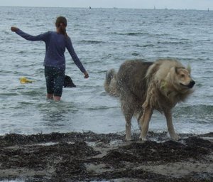 Ruby und Rocky nass 2014.JPG