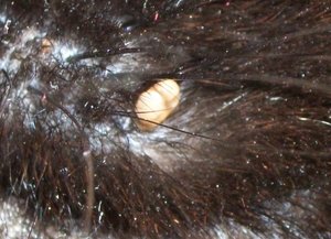 Screen Shot 05-29-15 at 03.21 PM.JPG