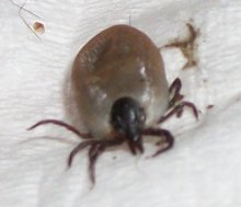 Screen Shot 05-30-15 at 06.56 AM.JPG