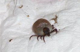 Screen Shot 05-30-15 at 06.55 AM.JPG