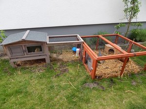 DSCN4379.JPG DSCN4379.JPG