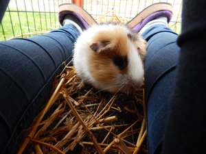 DSCN4397.JPG DSCN4397.JPG