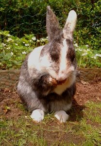 uploadfromtaptalk1433162924831.jpg uploadfromtaptalk1433162924831.jpg