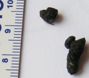 PICT0010 (2).JPG PICT0010 (2).JPG