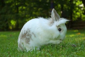 uploadfromtaptalk1433660037003.jpg uploadfromtaptalk1433660037003.jpg