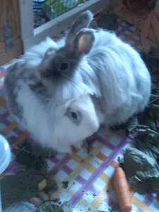 uploadfromtaptalk1433659970915.jpg uploadfromtaptalk1433659970915.jpg