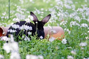 uploadfromtaptalk1433629170419.jpeg uploadfromtaptalk1433629170419.jpeg