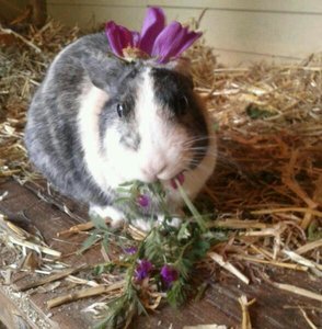 uploadfromtaptalk1433694638953.jpg uploadfromtaptalk1433694638953.jpg