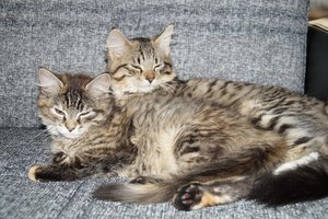 DSC03058.jpg DSC03058.jpg