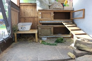 die linke Seite des Geheges innen _ Foto verkleinert.jpg die linke Seite des Geheges innen _ Foto verkleinert.jpg