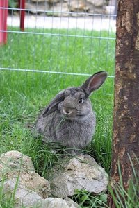 Sonja mit drei Monaten draußen _ Foto verkleinert.jpg Sonja mit drei Monaten draußen _ Foto verkleinert.jpg