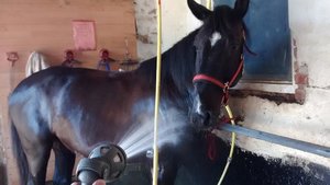 img2015061212psdm3tqlv7.jpg img2015061212psdm3tqlv7.jpg