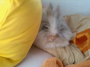 uploadfromtaptalk1434266549856.jpg uploadfromtaptalk1434266549856.jpg