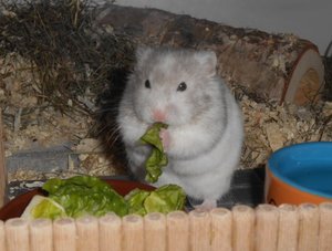 21000582cb.jpg 21000582cb.jpg