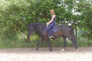 p1110812c4dxzluw6t.jpg p1110812c4dxzluw6t.jpg