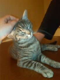 11637940_901911516547273_893904544_n.jpg 11637940_901911516547273_893904544_n.jpg