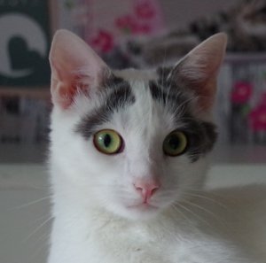 IMGP1095_zpsouutg3ep.jpg IMGP1095_zpsouutg3ep.jpg