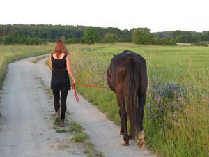 img29189nw0vtxbl6.jpg img29189nw0vtxbl6.jpg