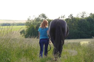 p11009590lf5wmxtgp.jpg p11009590lf5wmxtgp.jpg