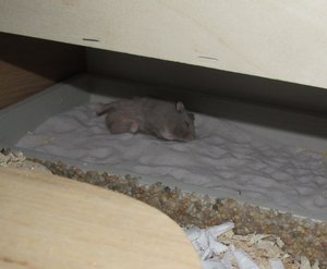 21000574dh.jpg 21000574dh.jpg