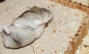 DSC03654.jpg DSC03654.jpg