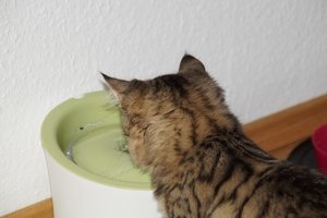 DSC03658.jpg DSC03658.jpg