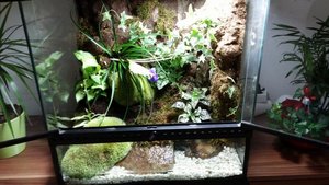 20150627_191127.JPG 20150627_191127.JPG